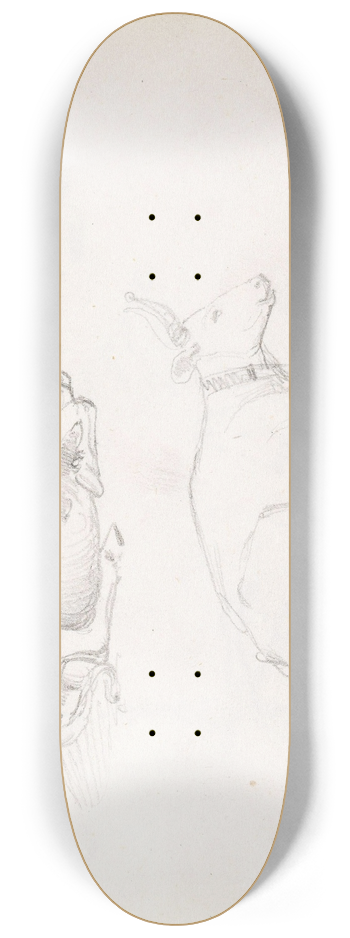 Adolph Tidemand - Studier av liggende tyr 8.25 inch art skate deck