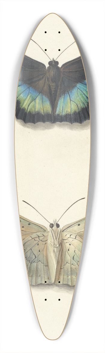Georgius Jacobus Johannes van Os - Boven- en onderaanzicht van een vlinder 39.3 inch art pintail longboard deck
