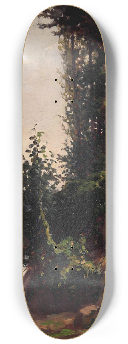 Cesare Viazzi - Paesaggio sullOrba con roccia e rampicante 8.25 inch art skate deck