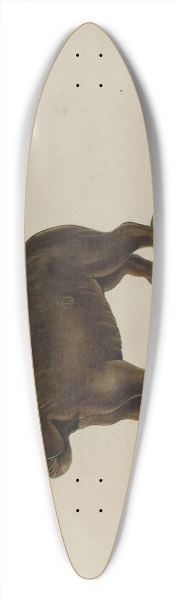 Gerald Transpota - Nutcracker  Dog Tray 39.3 inch art pintail longboard deck