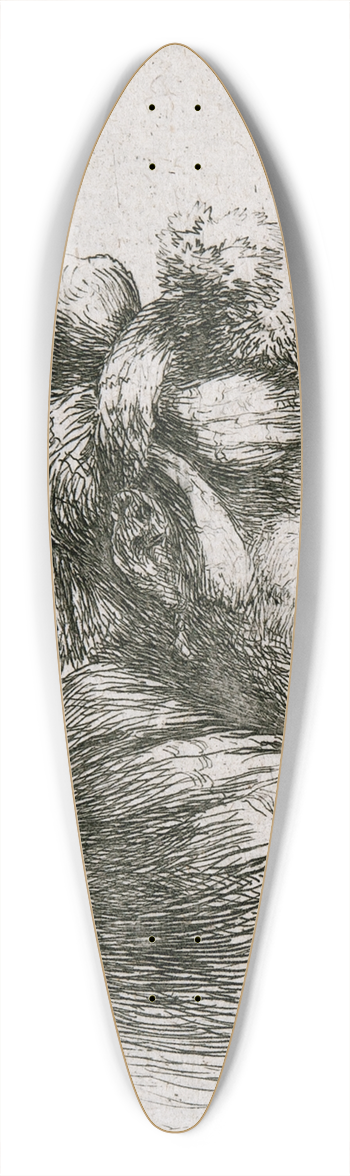 Giovanni Benedetto Castiglione - Man in Profile 39.3 inch art pintail longboard deck