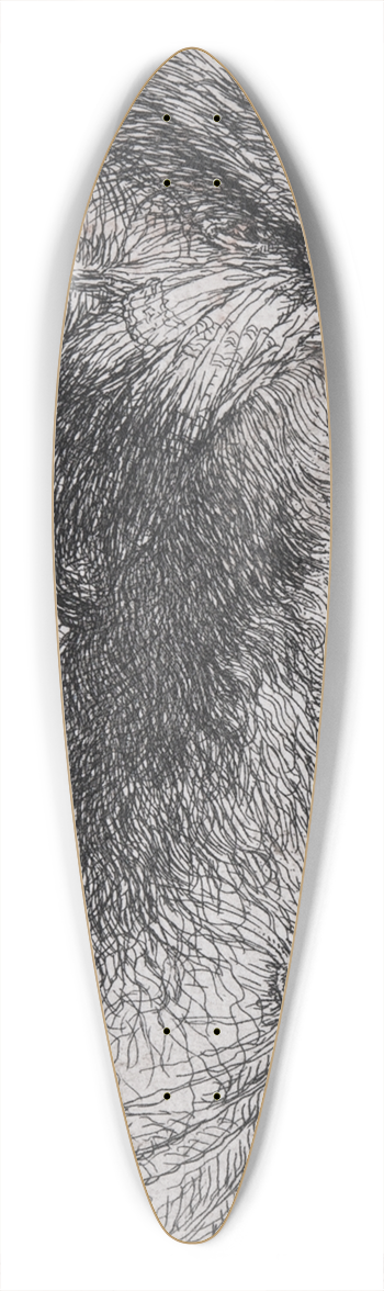 Giovanni Benedetto Castiglione - Young Man in Profile 39.3 inch art pintail longboard deck