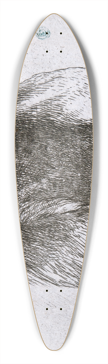 Giovanni Benedetto Castiglione - Young Man in Profile Facing Right 39.3 inch art pintail longboard deck
