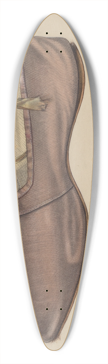 Grace Halpin - Slipper 39.3 inch art pintail longboard deck
