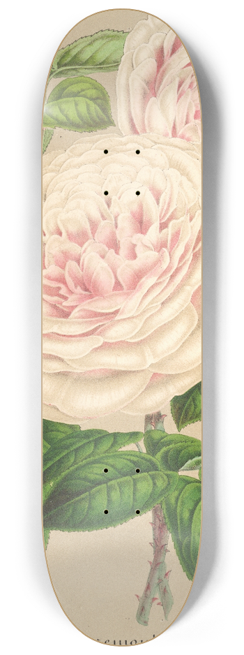 Charles Antoine Lemaire - Rose Sur des Anges 8.25 inch art skate deck