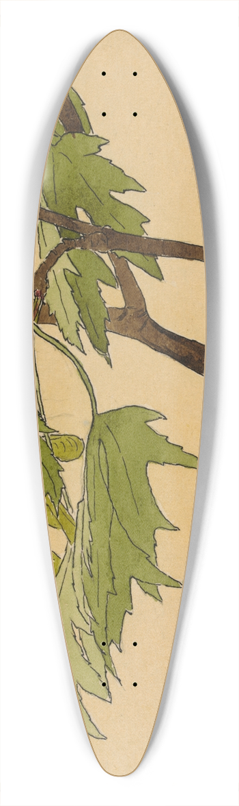 Hannah Borger Overbeck - Maple 39.3 inch art pintail longboard deck