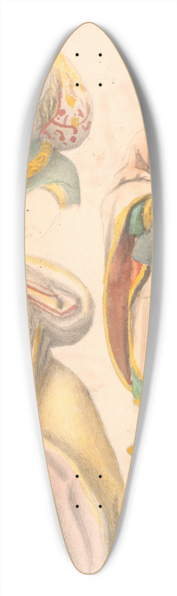 Hans Smidth - Studie med tre figurer efter altertavlen i Estvad kirke, Ringkbing amt 39.3 inch art pintail longboard deck