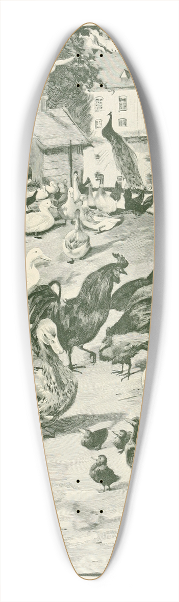 Hans Tegner - Fairy tales and stories pl16 39.3 inch art pintail longboard deck
