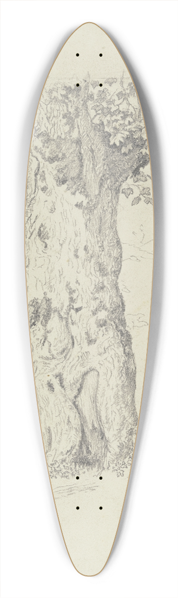 Hans Thoma - Tree 39.3 inch art pintail longboard deck