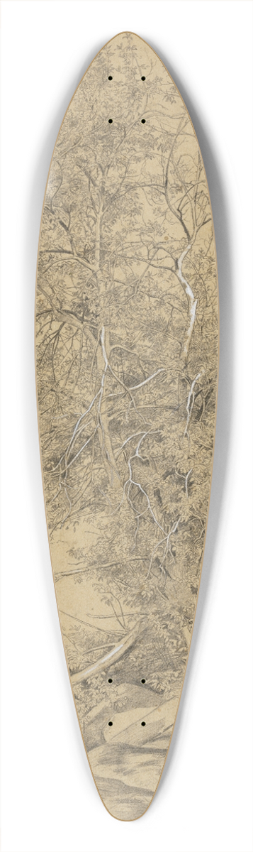 Hans Thoma - Weide am Bach 39.3 inch art pintail longboard deck