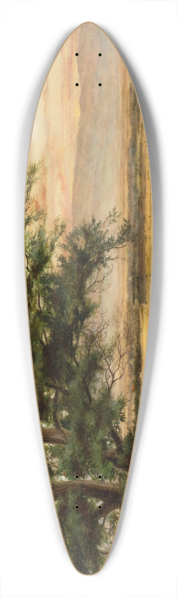 Harold G. Peelor - Santa Clara Valley 39.3 inch art pintail longboard deck