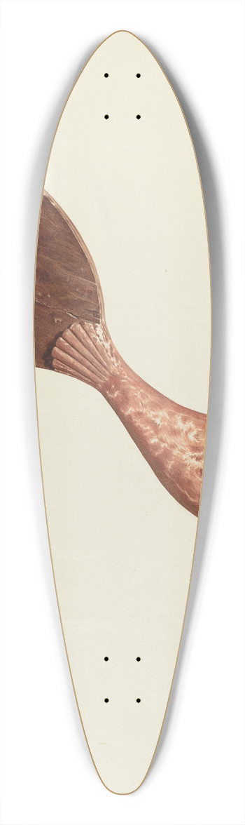 Hazel Hyde - Cock Weather Vane 39.3 inch art pintail longboard deck
