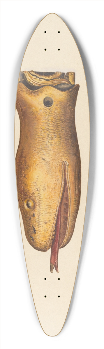 Hazel Hyde - Figurehead from the Diadem 39.3 inch art pintail longboard deck