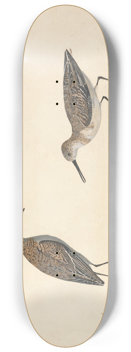 Charles Collins - A Pair of Stints 8.25 inch art skate deck