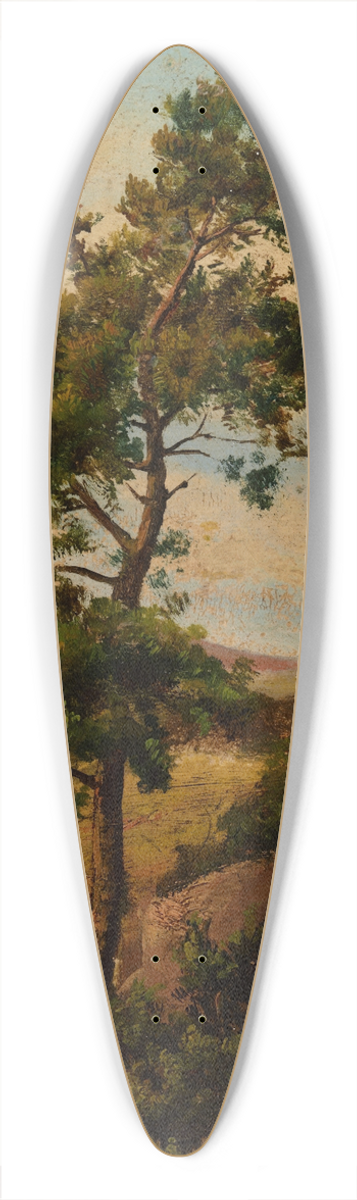 Henryk Grabiski - Stone Pine 39.3 inch art pintail longboard deck