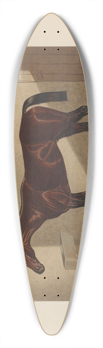 Henry Stull - Hindoo 39.3 inch art pintail longboard deck