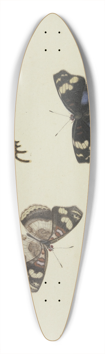 Herman Henstenburgh - Four butterflies 39.3 inch art pintail longboard deck