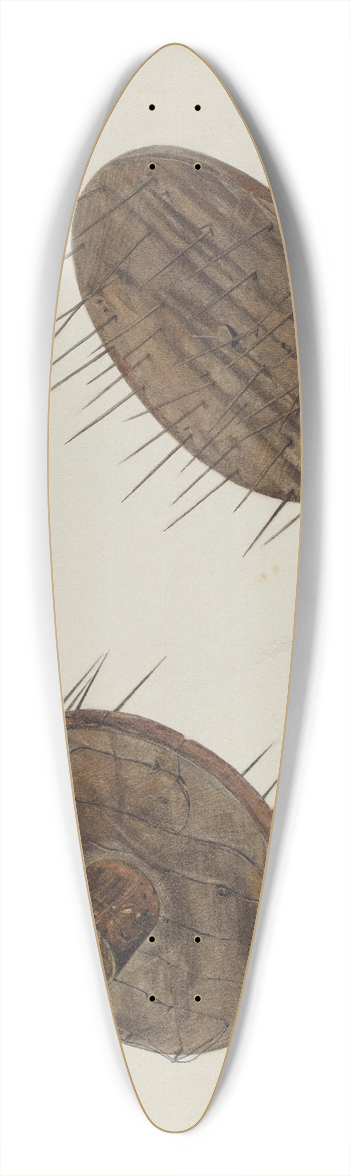 Herman O. Stroh - Apothecarys Pill Coater 39.3 inch art pintail longboard deck