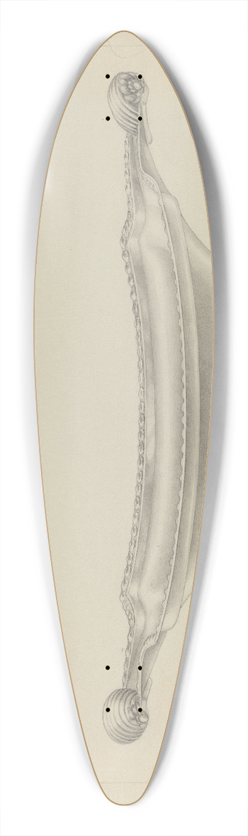 Hester Duany - Silver Bowl 39.3 inch art pintail longboard deck