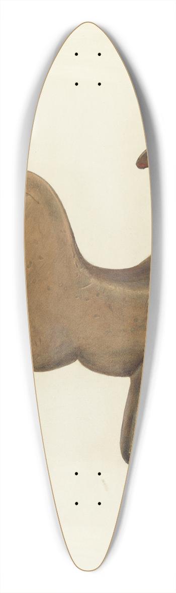 H. Langden Brown - Weather Vane 39.3 inch art pintail longboard deck