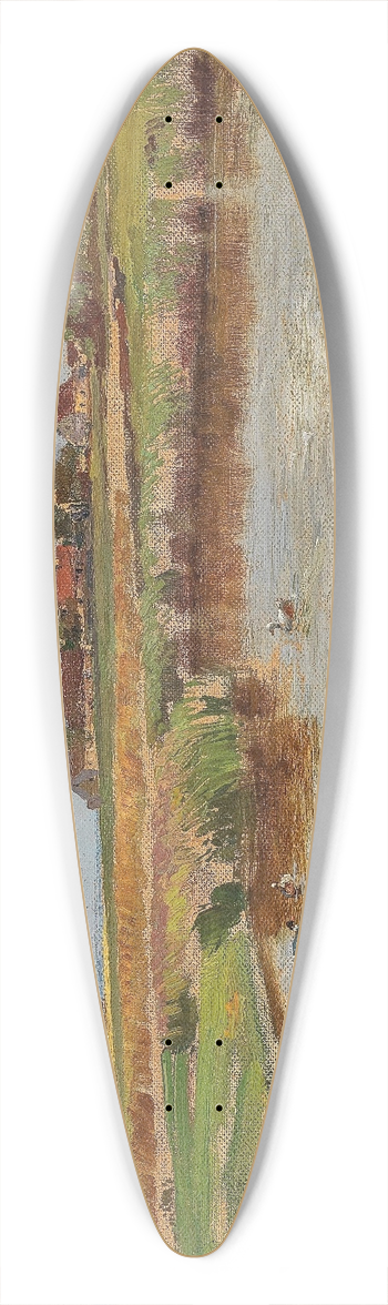 Hugo Darnaut - Enten am Dorfweiher 39.3 inch art pintail longboard deck