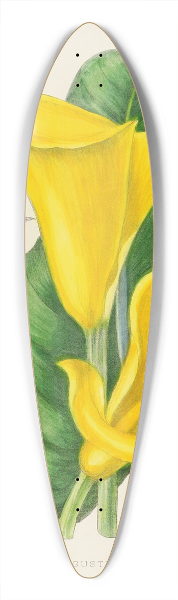 Illtyd Buller Pole-Evans - Richardia Angustiloba 39.3 inch art pintail longboard deck