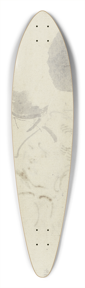 Jacob de Wit - Two heads 39.3 inch art pintail longboard deck