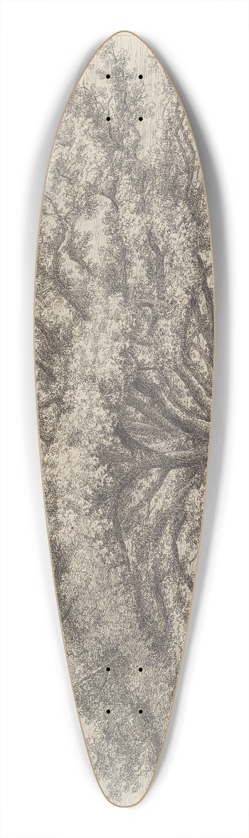 Jacob George Strutt - The Bounds-Park Oak 39.3 inch art pintail longboard deck