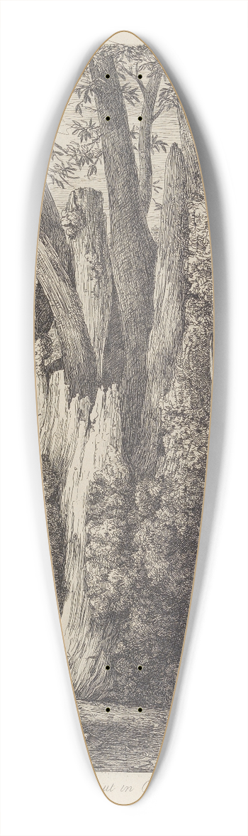 Jacob George Strutt - The Chesnut Tree Called The Four Sisters 39.3 inch art pintail longboard deck