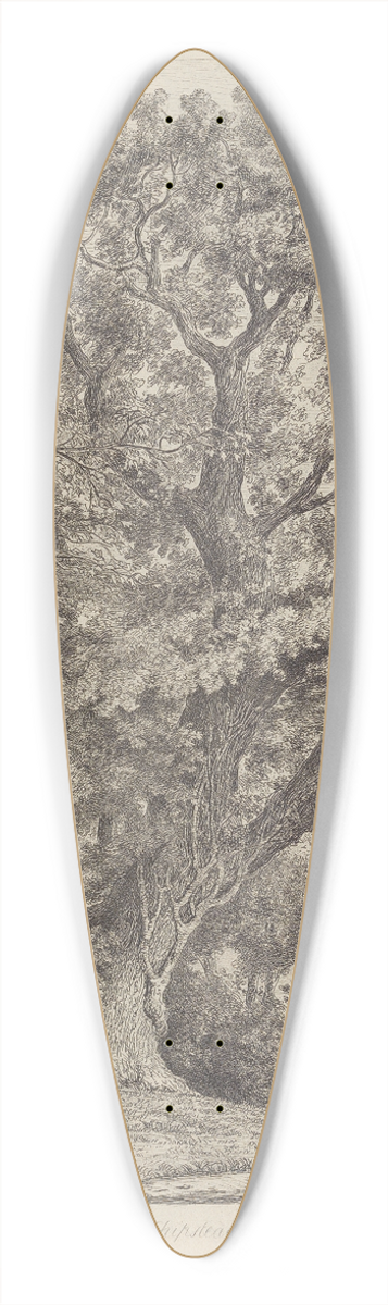 Jacob George Strutt - The Chipstead Elm 39.3 inch art pintail longboard deck