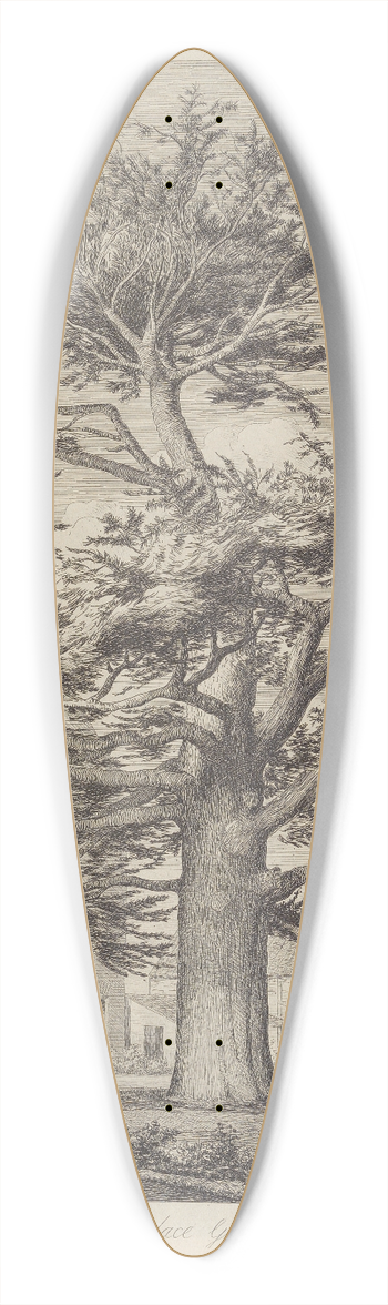 Jacob George Strutt - The Enfield Cedar 39.3 inch art pintail longboard deck