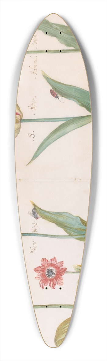 Jacob Marrel - Sheet from a Tulip Book 39.3 inch art pintail longboard deck