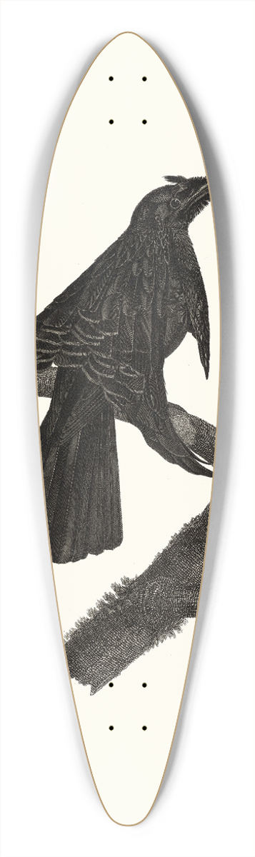 Jacques Barraband - Le Superbe talant ses parures. 39.3 inch art pintail longboard deck