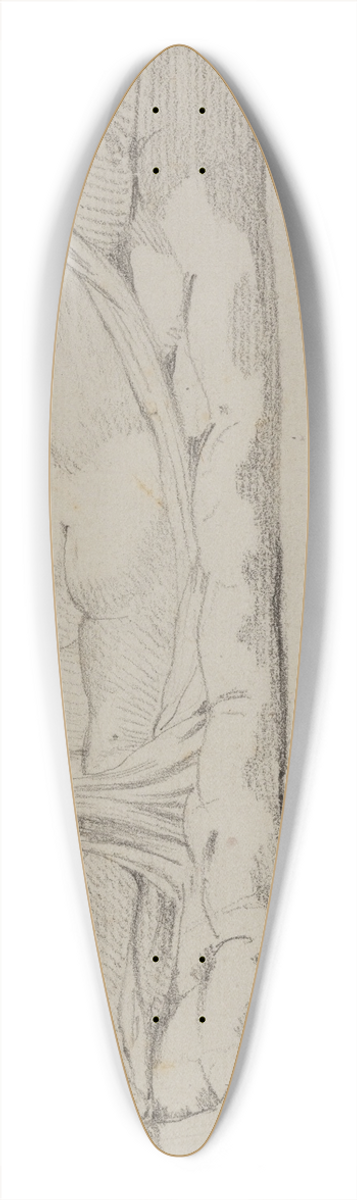 Jacques Louis David - Hermaphrodite 39.3 inch art pintail longboard deck