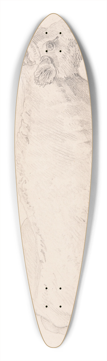 Jacques-Raymond Brascassat - Buf couch 39.3 inch art pintail longboard deck