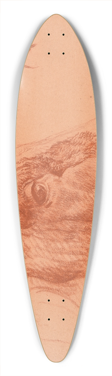Jacques-Raymond Brascassat - tude de tte de buf 39.3 inch art pintail longboard deck