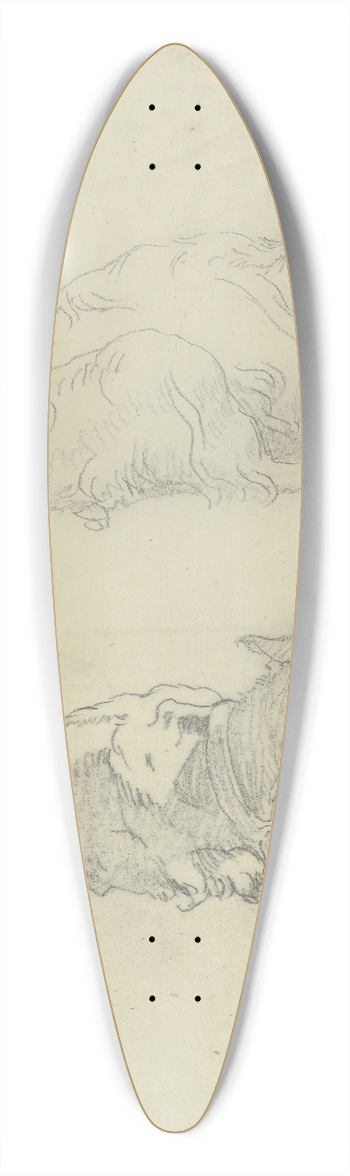 Jakob Becker - Two goats 39.3 inch art pintail longboard deck
