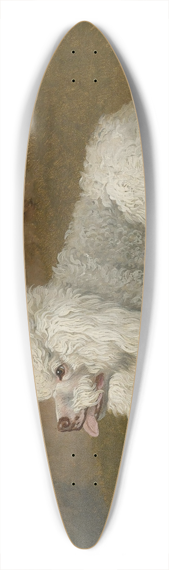 Jakob Philipp Hackert - Portrt Eines Pudels 39.3 inch art pintail longboard deck