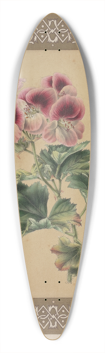 James Andrews - The Geranium 39.3 inch art pintail longboard deck