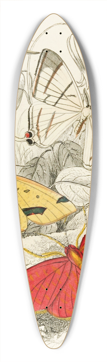 James Duncan - Asthenia podaliriaria, Macrotes netrix, Venilia sospita, Eumelia Rosalia 39.3 inch art pintail longboard deck