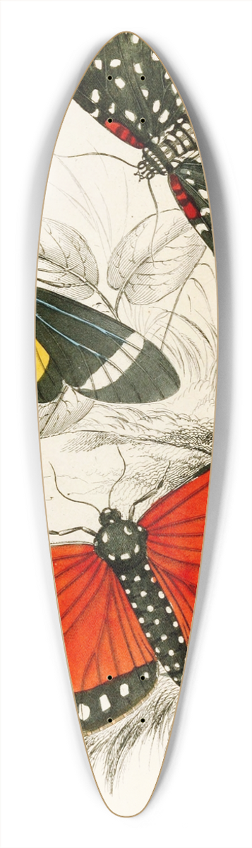 James Duncan - Hypercampa Sybaris, Callimorpha Helcita, Callimorpha Phileta 39.3 inch art pintail longboard deck