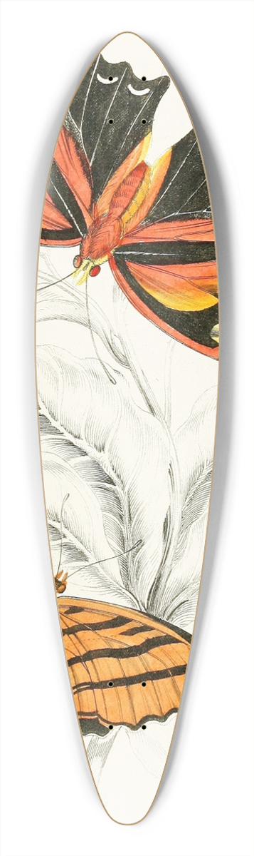James Duncan - Marius Thetis, Fabius Hippona 39.3 inch art pintail longboard deck