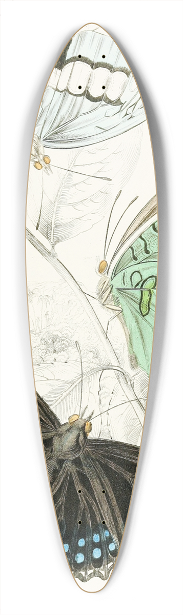 James Duncan - Nymphalis Ethiocles,Nymphalis Tiridates 39.3 inch art pintail longboard deck