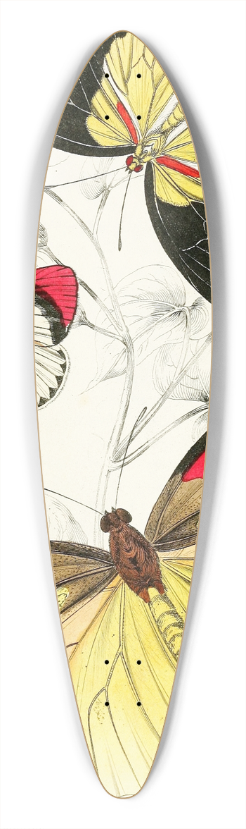 James Duncan - Pieris Belisama,Anthocharis Danai,Iphias Leucippe 39.3 inch art pintail longboard deck
