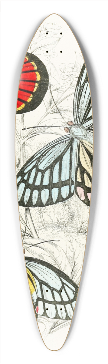 James Duncan - Pieris Epicharis, Pieris Philyra 39.3 inch art pintail longboard deck