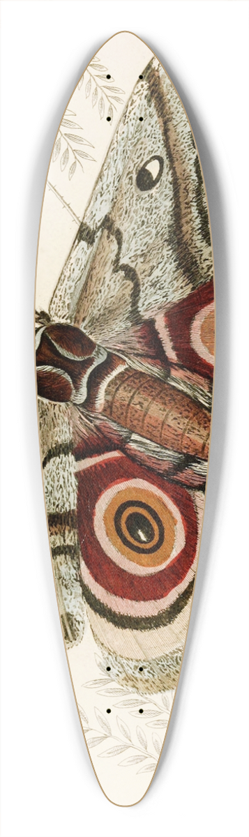 James Duncan - Saturnia Isis 39.3 inch art pintail longboard deck