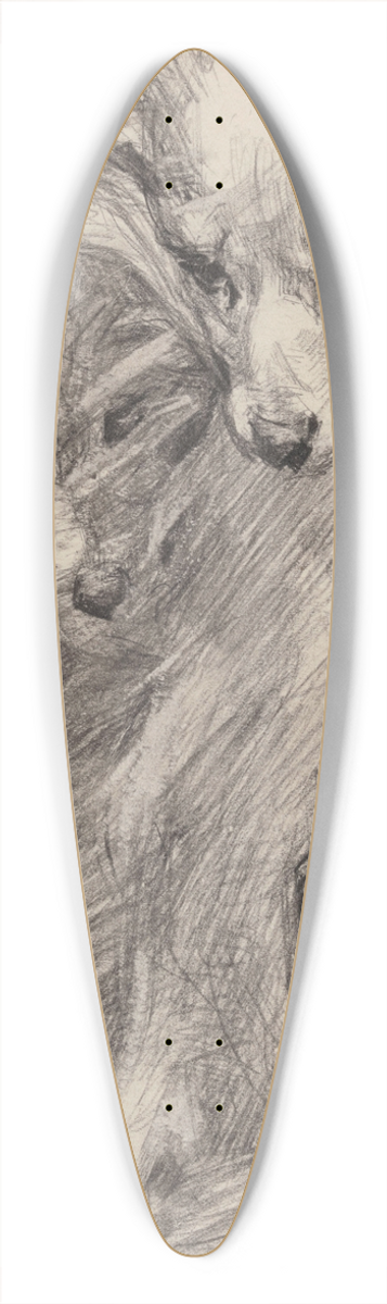James Ensor - Dog 39.3 inch art pintail longboard deck