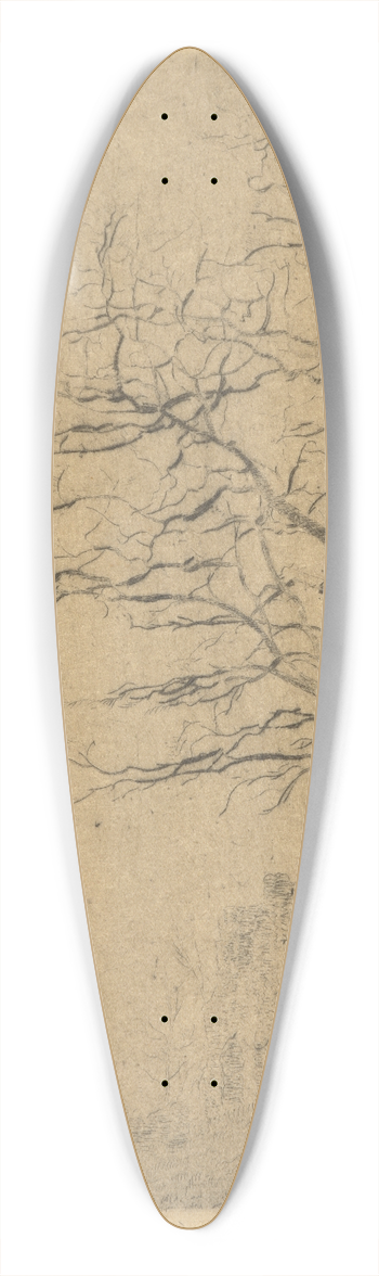 James Ensor - Lacacia 39.3 inch art pintail longboard deck