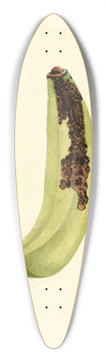 James Marion Shull - Musa 39.3 inch art pintail longboard deck