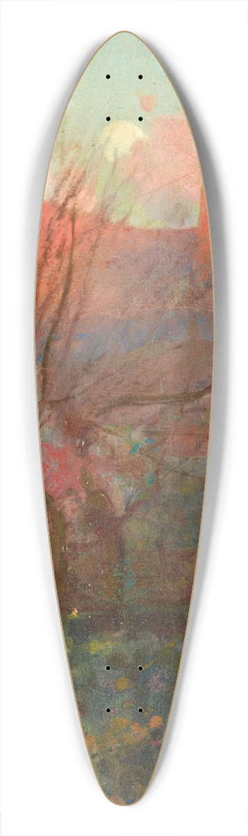 James Nairn - Landscape 39.3 inch art pintail longboard deck